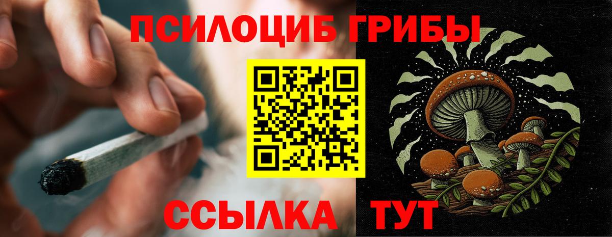 Галлюциногенные грибы мухоморы Волжский